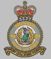 19 Squadron Royal Air Force T-shirt